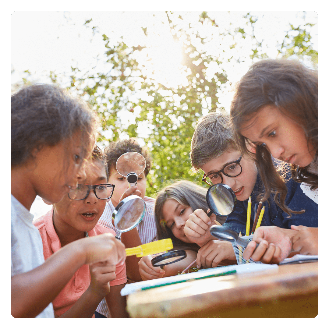 Summer tutoring tips